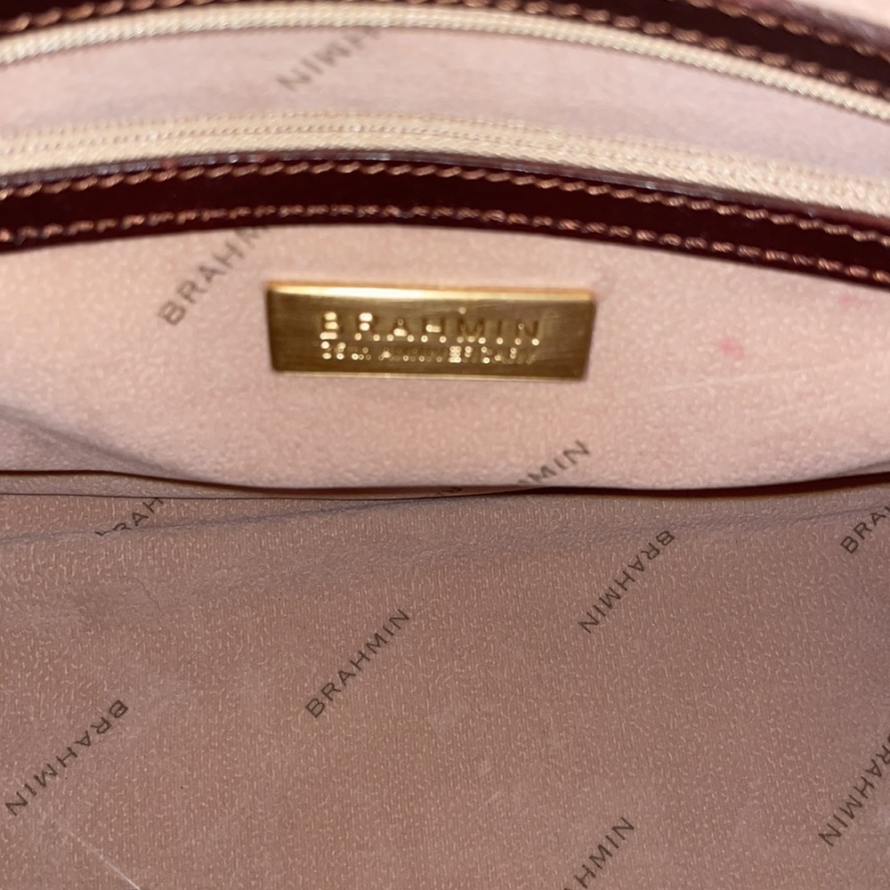 Brahmin - Picture 5 of 8
